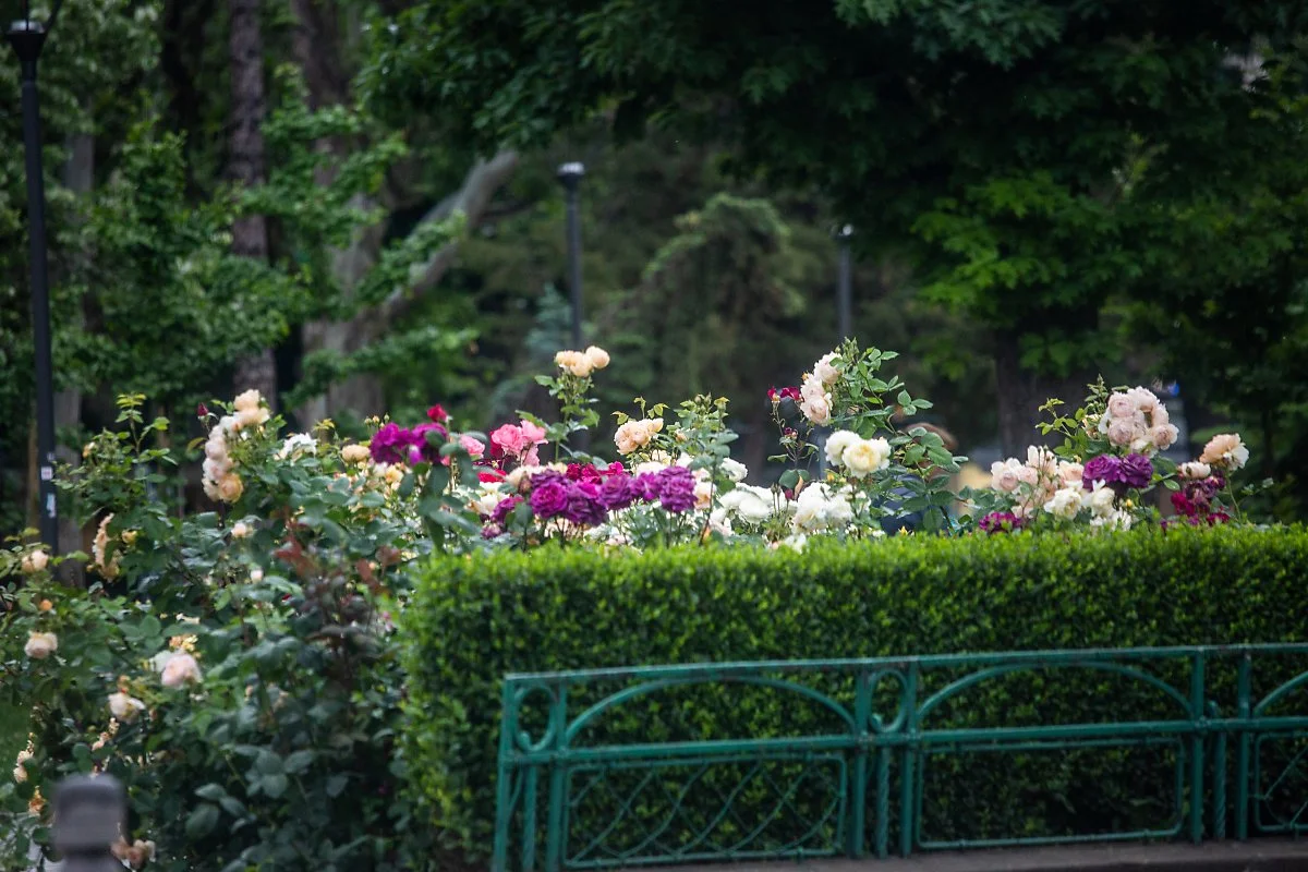 %EA%B1%B0%EB%A6%AC%ED%92%8D%EA%B2%BD_%282%29.jpg?type=w1200