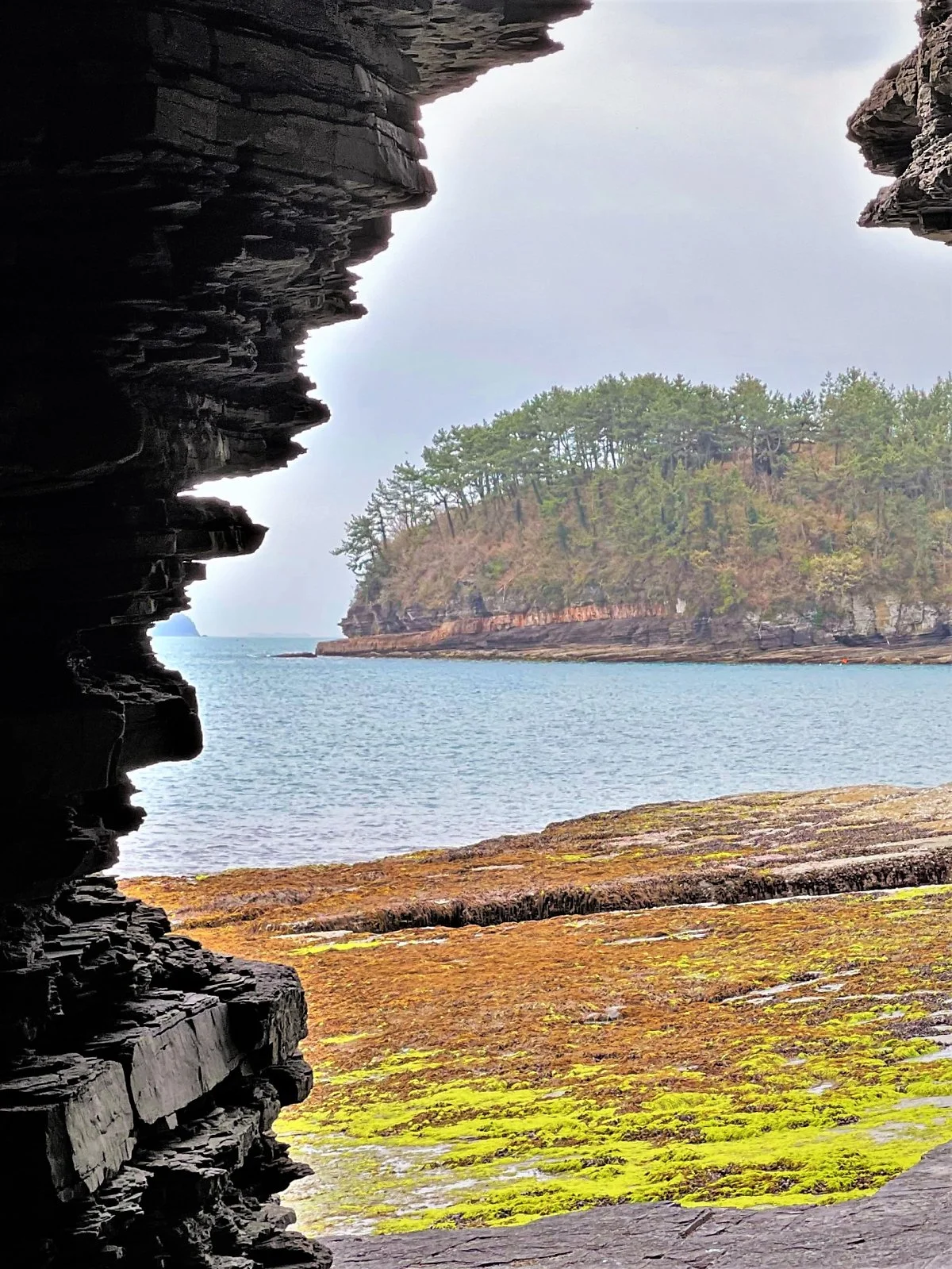 %EA%B3%A0%EC%84%B1_%EC%83%81%EC%A1%B1%EC%95%94%EA%B5%B0%EB%A6%BD%EA%B3%B5%EC%9B%90_%281%29.jpg?type=w1200