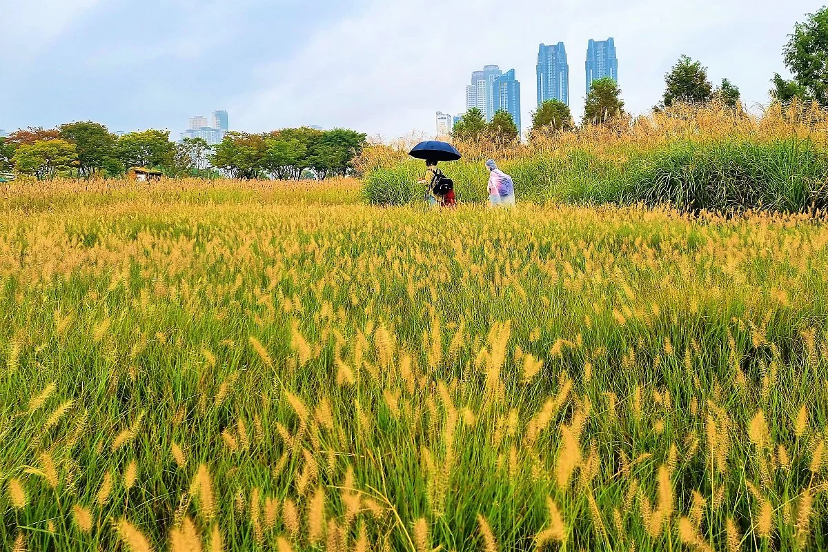 %EA%BD%83%EB%B0%AD_%282%29.jpg?type=w1200