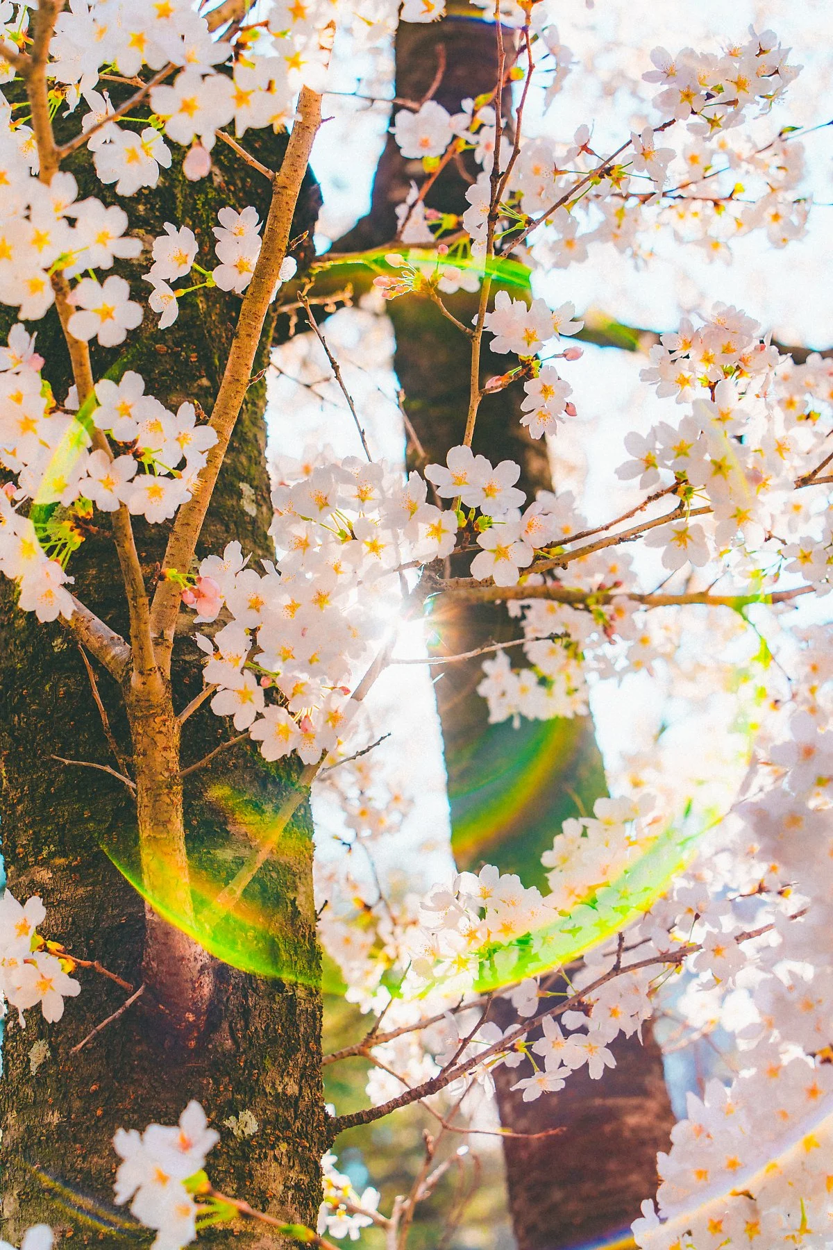 %EB%8C%80%EC%95%84%EC%88%98%EB%AA%A9%EC%9B%90_%286%29-%EC%88%98%EC%A0%95.jpg?type=w1200