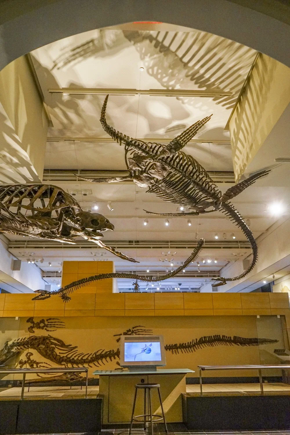 %EC%98%A4%ED%83%80%EC%99%80_%EC%9E%90%EC%97%B0%EC%82%AC_%EB%B0%95%EB%AC%BC%EA%B4%80_%2817%29.JPG?type=w1200