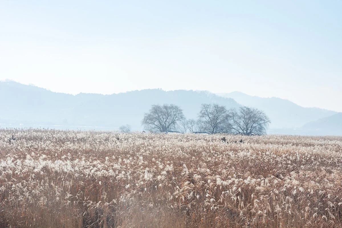 %EC%8B%A0%EC%84%B1%EB%A6%AC%EA%B0%88%EB%8C%80%EB%B0%AD_%2811%29.jpg?type=w1200