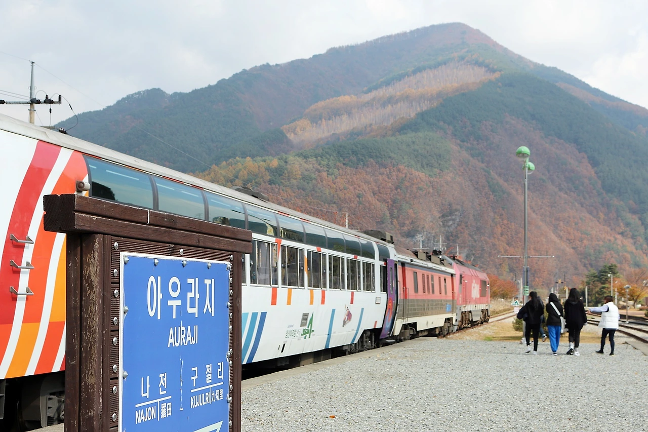 정선 아리랑열차 (3).JPG