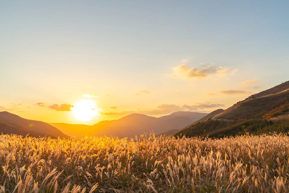 %EA%B0%84%EC%9B%94%EC%9E%AC_010.jpg?type=w1200