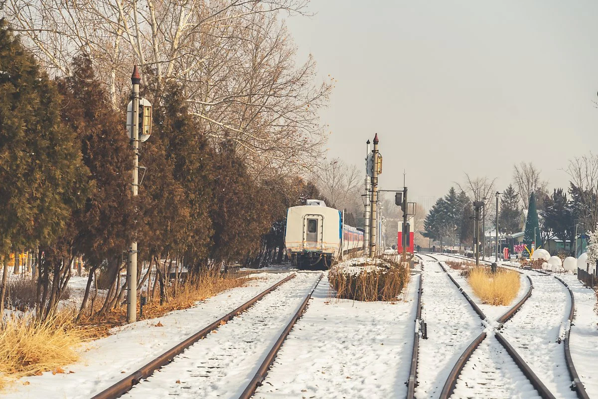 %EA%B2%BD%EC%B6%98%EC%84%A0%EC%88%B2%EA%B8%B8_%EA%B5%AC%ED%99%94%EB%9E%91%EB%8C%80%EC%97%AD%EC%82%AC_00002.jpg?type=w1200