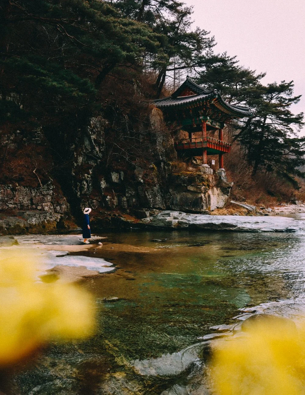 %EA%B9%80%EC%B2%9C_%EA%BD%83%EC%9D%84_%EC%B0%BE%EC%95%84%EC%84%9C__%288_-_35%29.JPG?type=w1200