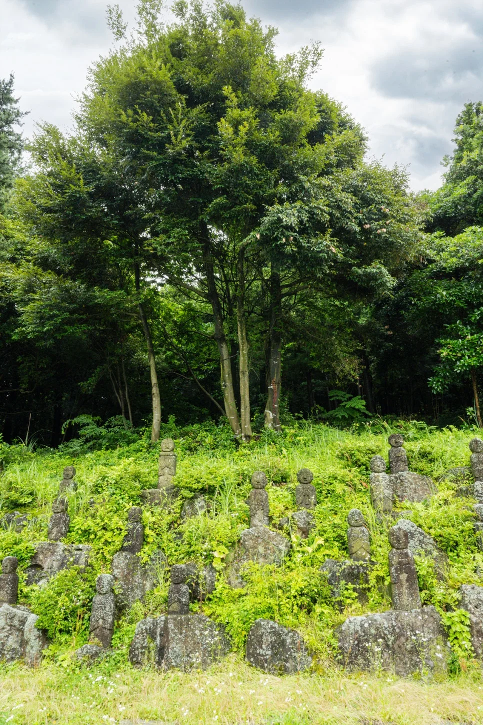 13_%EA%B8%88%EB%B0%B1%EC%A1%B0%ED%95%A0%EB%A7%9D%EC%9D%98_%EC%9E%90%EB%85%80_%EC%84%9D%EC%83%81%EB%93%A4.jpg?type=w966