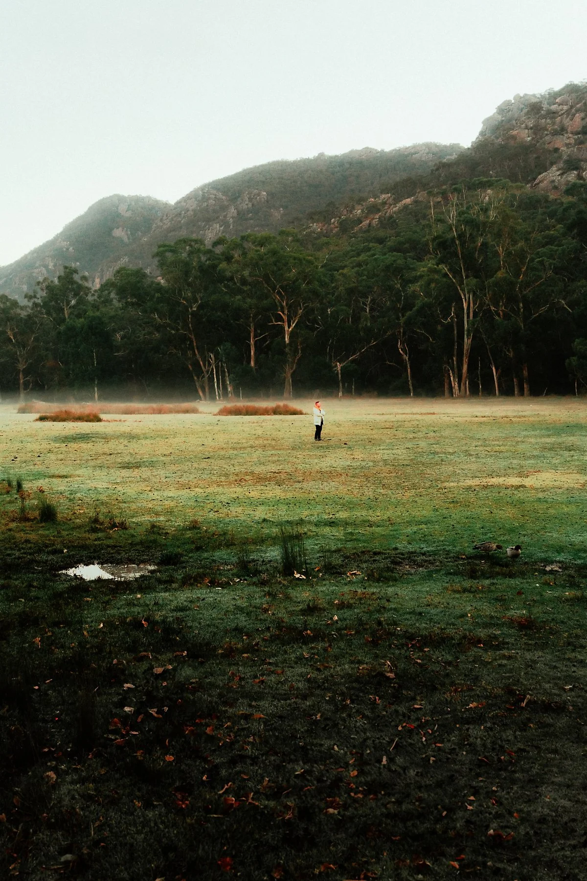 %EA%B7%B8%EB%9E%A8%ED%94%BC%EC%96%B8%EC%8A%A4_%EA%B5%AD%EB%A6%BD%EA%B3%B5%EC%9B%90_%2810%29.jpg?type=w1200