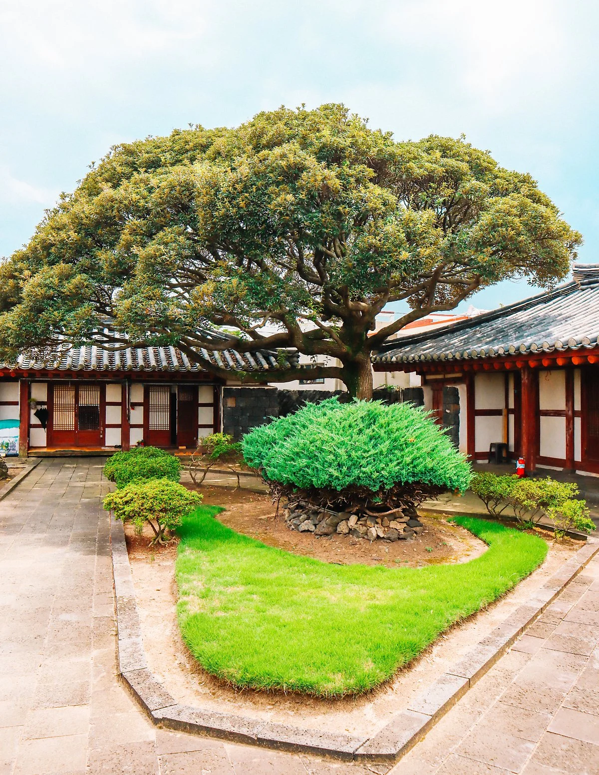 d_%EC%8B%A0%EC%B4%8C%ED%96%A5%EC%82%AC_4.JPG?type=w1200