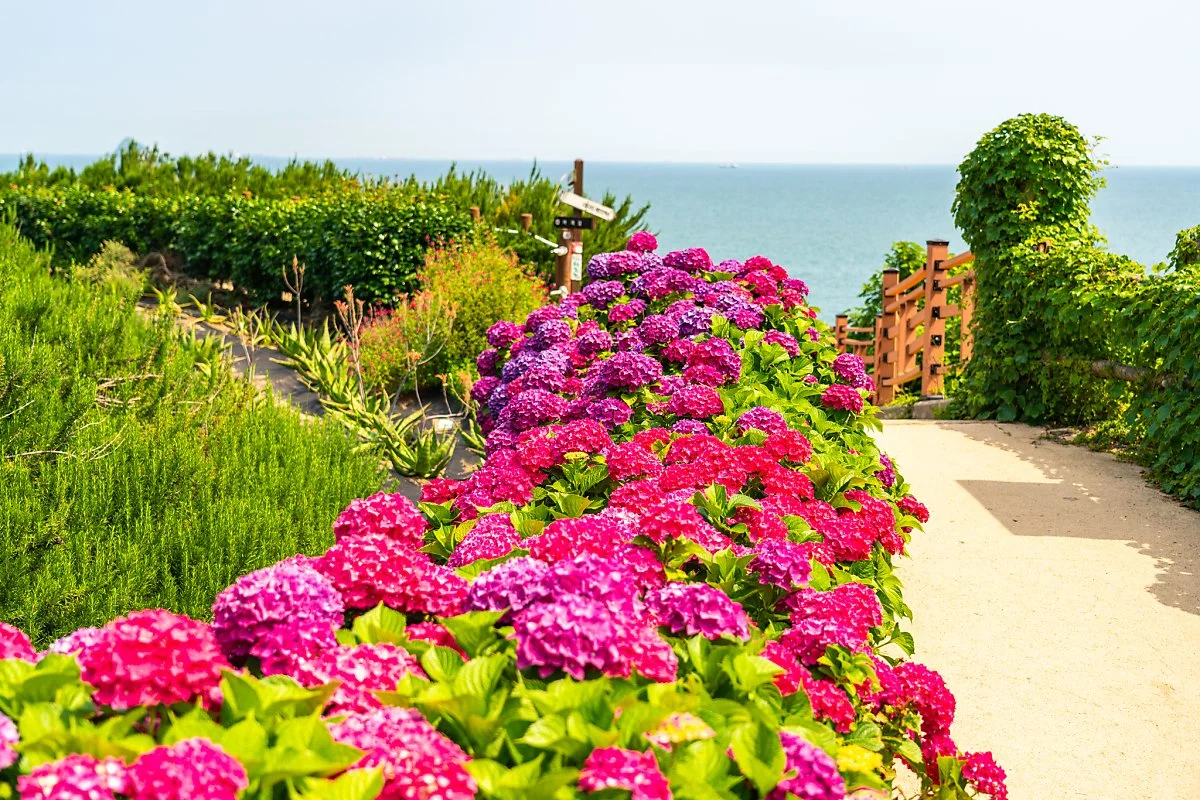 %EB%8B%A4%EB%9E%AD%EC%9D%B4%EB%A7%88%EC%9D%84_002.jpg?type=w1200