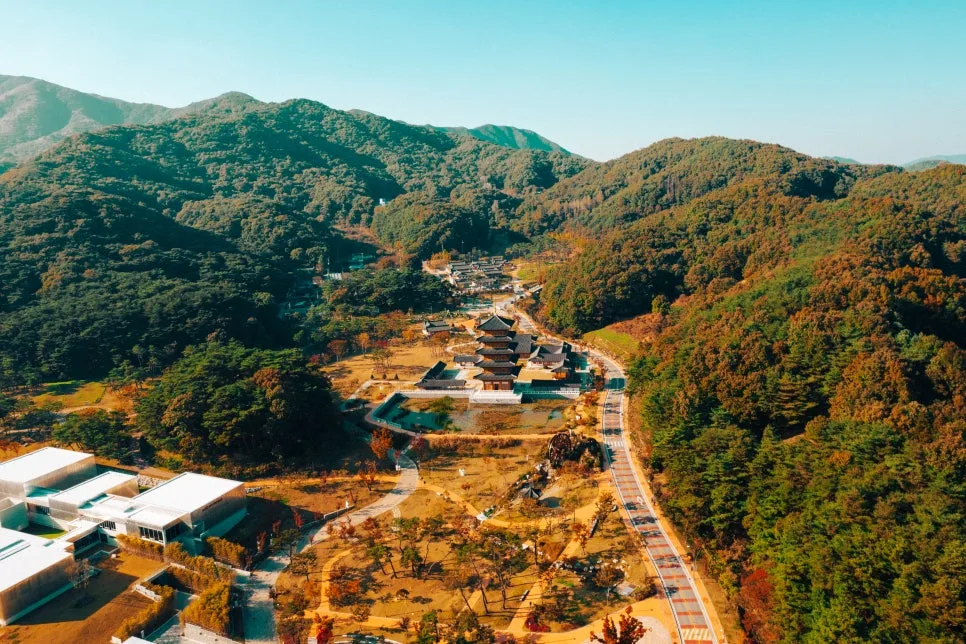 %EC%82%AC%EB%AA%85%EB%8C%80%EC%82%AC%EA%B3%B5%EC%9B%90_(10).JPG?type=w966