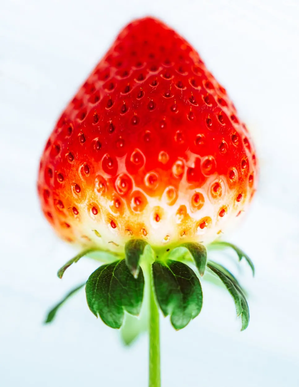 20250114-DSC04738-%ED%96%A5%EC%83%81%EB%90%A8-%EB%85%B8%EC%9D%B4%EC%A6%88_%EA%B0%90%EC%86%8C.jpg?type=w966