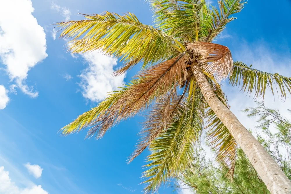 %ED%81%AC%EA%B8%B0%EB%B3%80%ED%99%98%EC%82%AC%EC%9D%B4%ED%8C%90_%EB%B9%84%EC%B9%98%EB%A1%9C%EB%93%9C_%ED%95%B4%EB%B3%80_%282%29.jpg?type=w1200