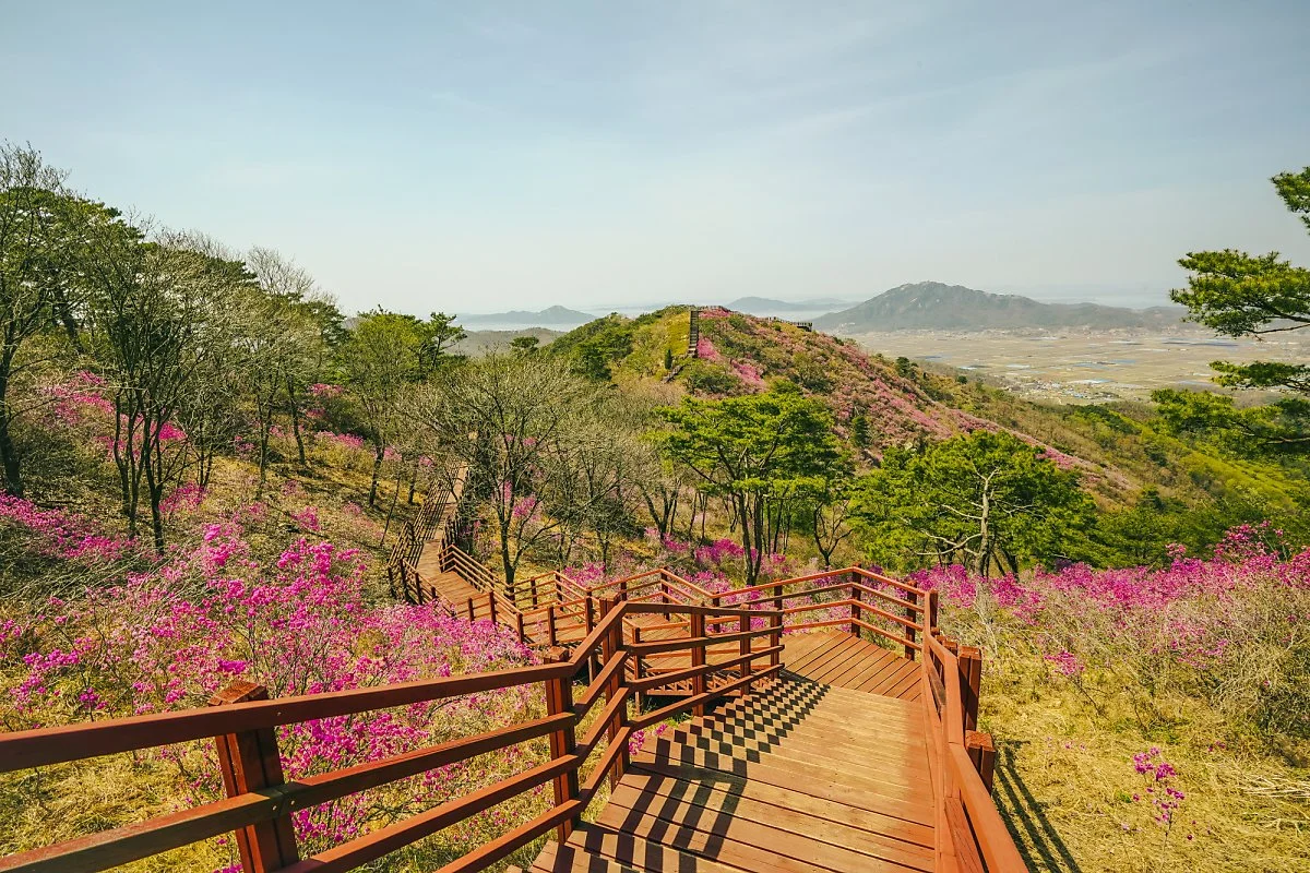 %EA%B3%A0%EB%A0%A4%EC%82%B0_%287%29.jpg?type=w1200