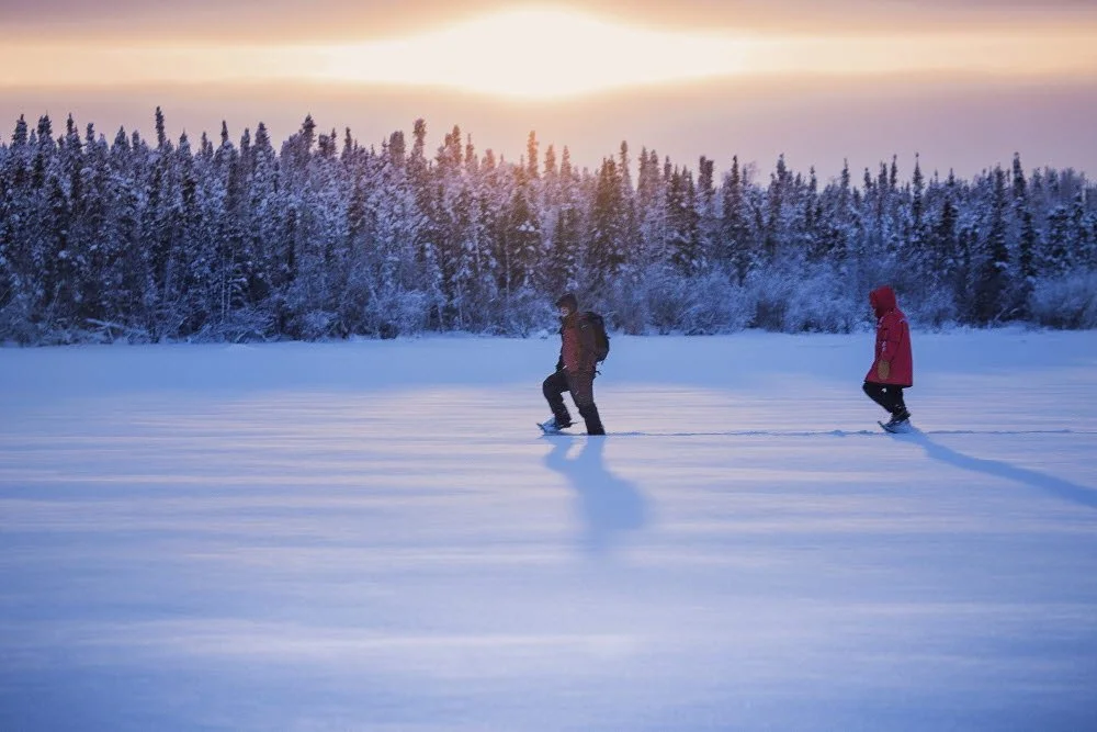 %EB%B8%94%EB%9E%98%EC%B9%98_%ED%8F%AC%EB%93%9C_%EB%A0%88%EC%9D%B4%ED%81%AC_%EB%A1%9C%EC%A7%80_%EC%8A%A4%EB%85%B8%EC%8A%88%EC%9E%89%C2%A9Gebrovska.jpg?type=w1200