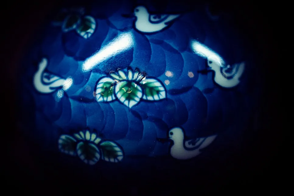 20250115-DSC05066.jpg?type=w966