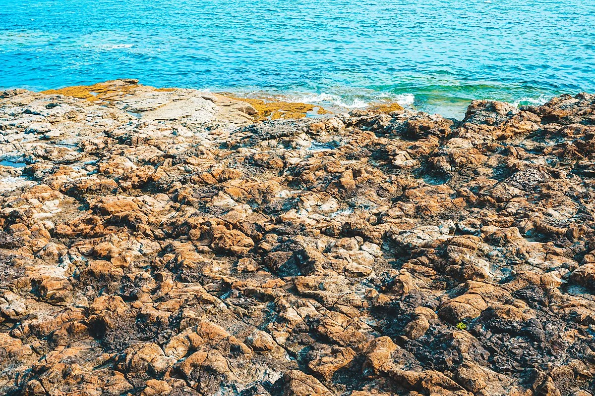 4p_5%EB%B2%88.jpg?type=w1200