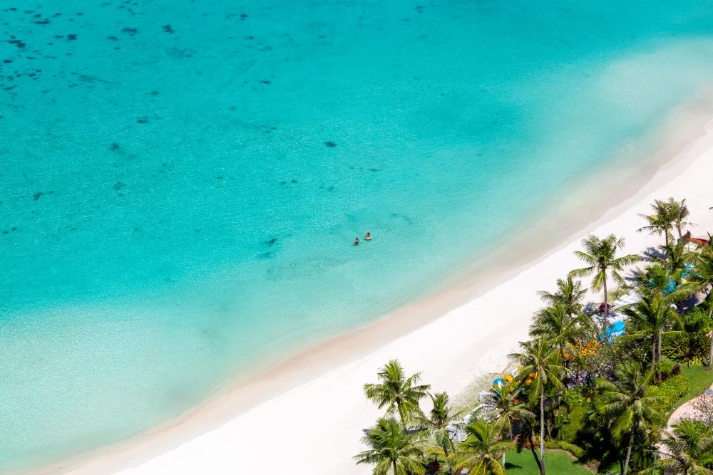 F96A8359.jpg?type=w1200