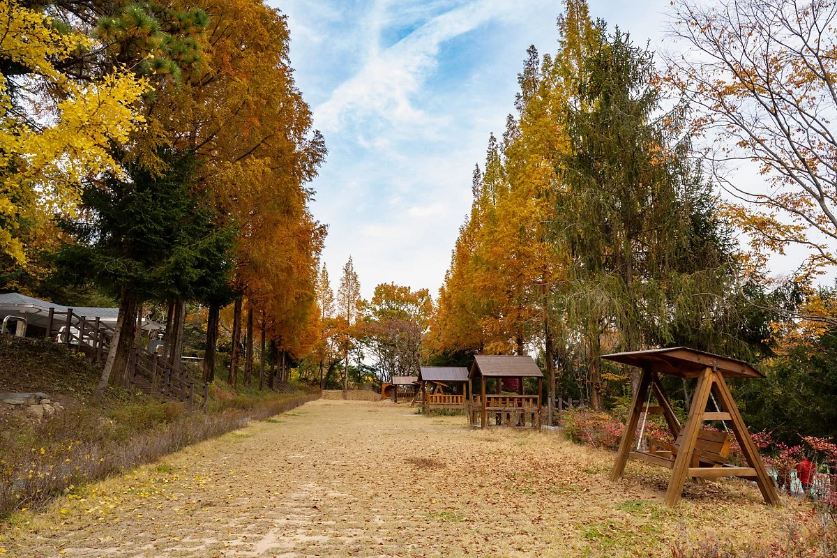 %EA%B5%90%EB%A3%A1%EC%82%B0_%EA%B5%AD%EB%AF%BC%EA%B4%80%EA%B4%91%EC%A7%80__%281%29.jpg?type=w1200