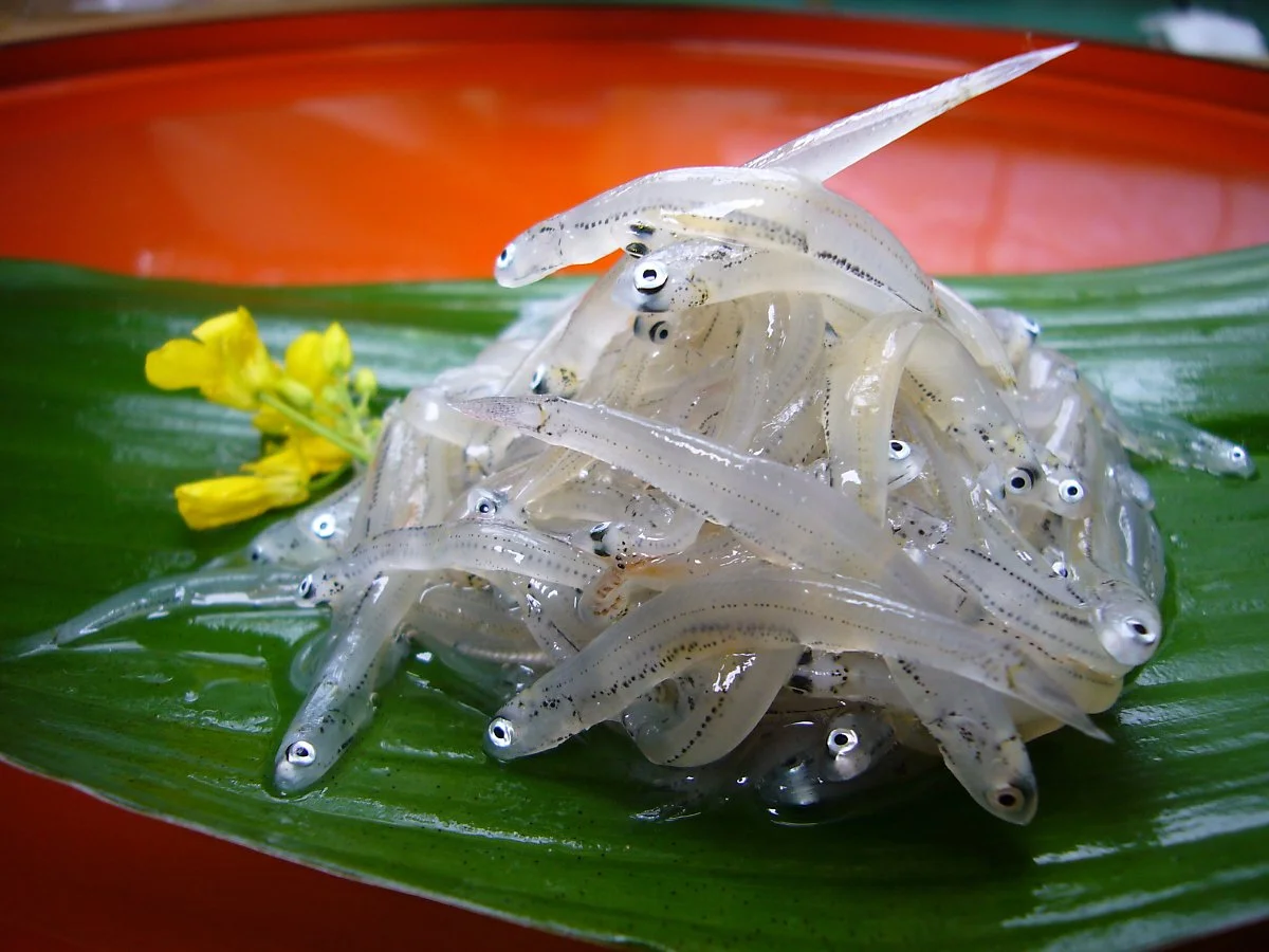 %EC%8B%9C%EB%9D%BC%EC%8A%A4.jpg?type=w1200