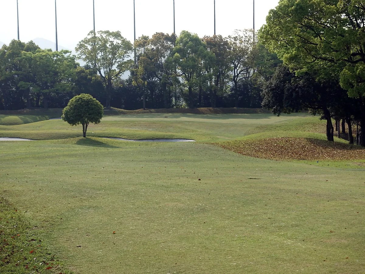 image_6860074511557894628535.jpg?type=w1200