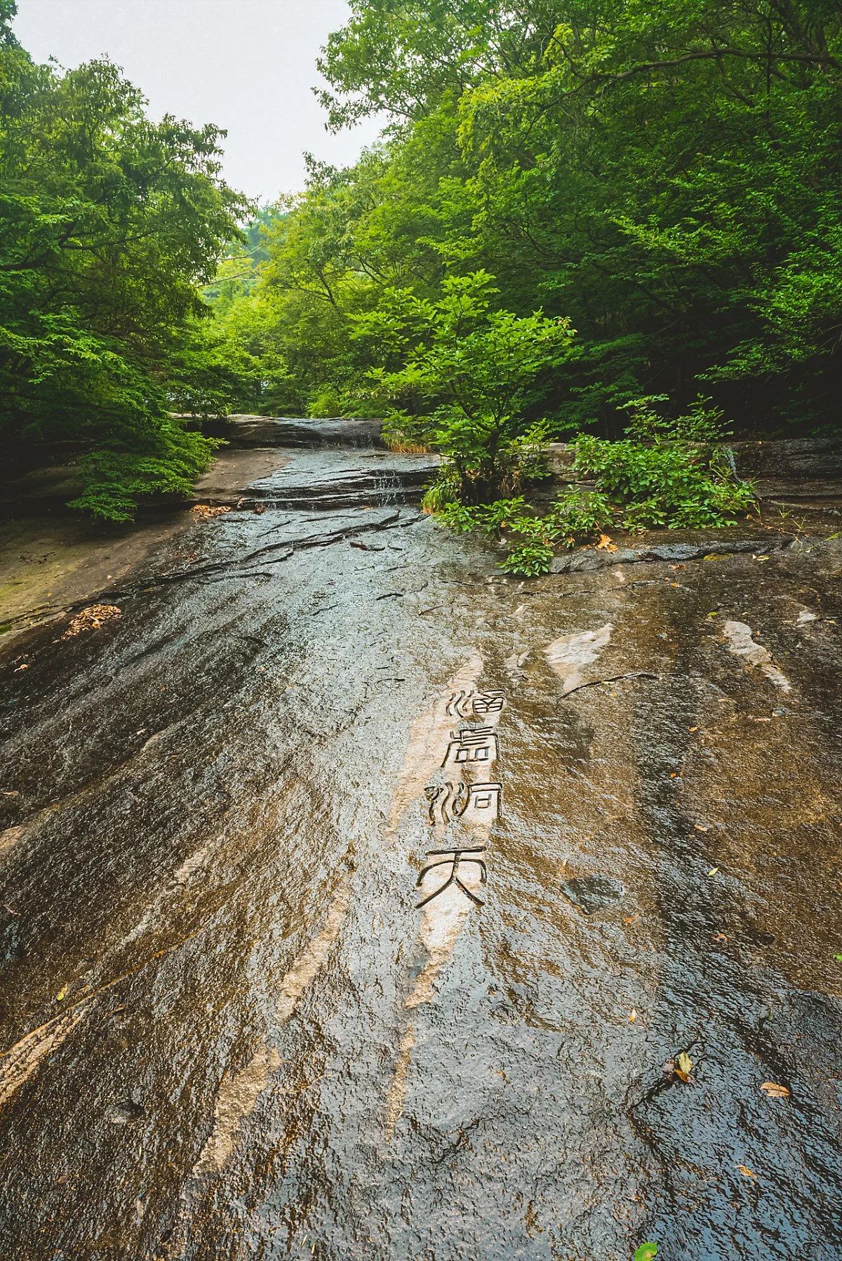 5p_%284%29.jpg?type=w1200