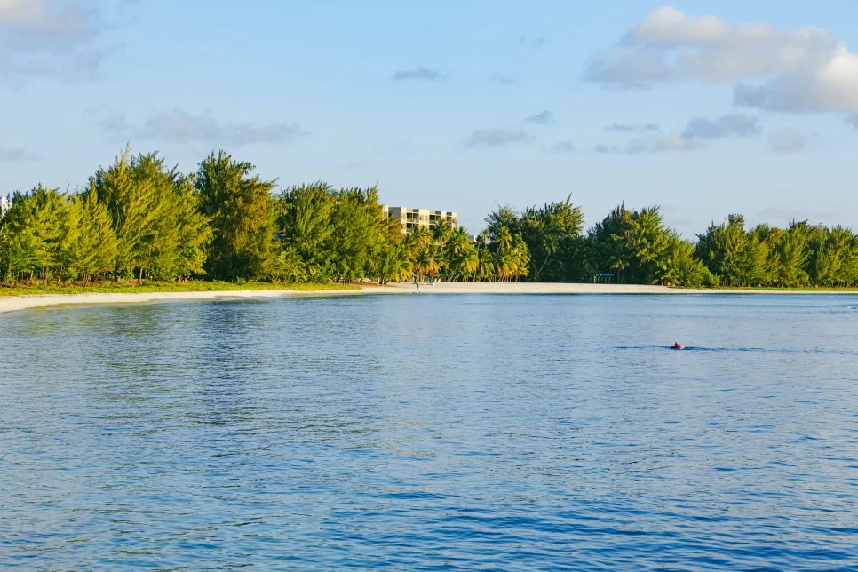 Sugar_Dock_(Bantalan)_2.jpg?type=w966