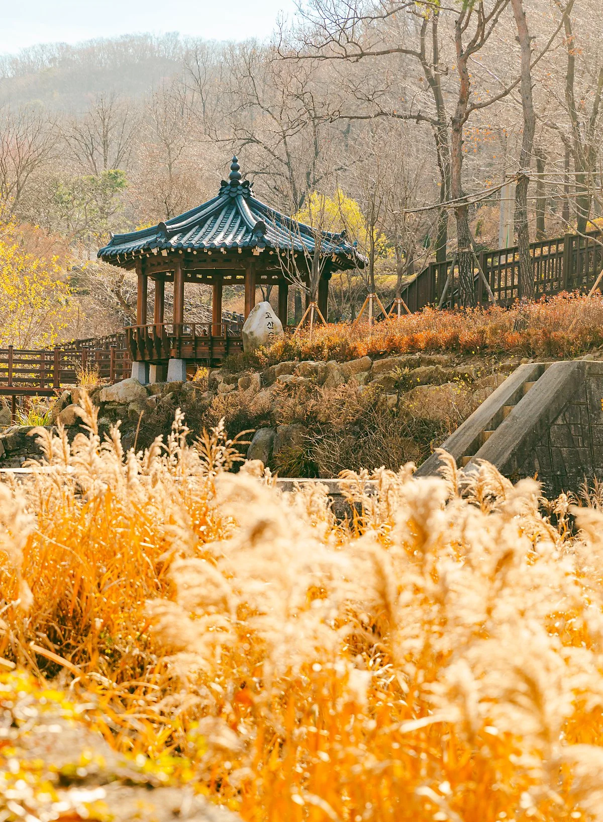 %EC%84%9D%EB%AA%A8%EB%8F%84_%EC%88%98%EB%AA%A9%EC%9B%90%281%29.jpg?type=w1200