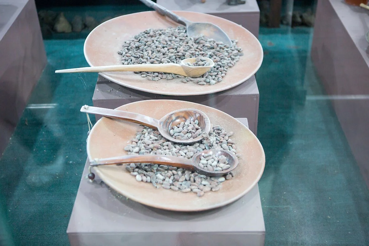 %EC%B4%88%EC%BD%9C%EB%A6%BF%EB%B0%95%EB%AC%BC%EA%B4%80_%289%29.JPG?type=w1200