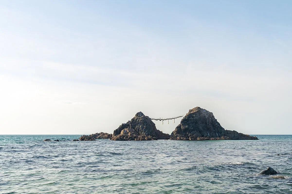 %ED%8C%9C%EB%B9%84%EC%B9%98_00001.jpg?type=w1200