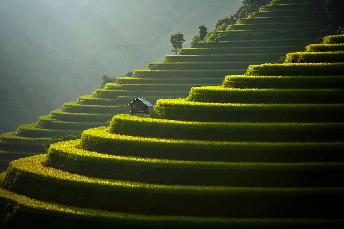 10._landscape_terraced_rice_field%2C_Mu_Cang_Chai.jpg?type=w1200