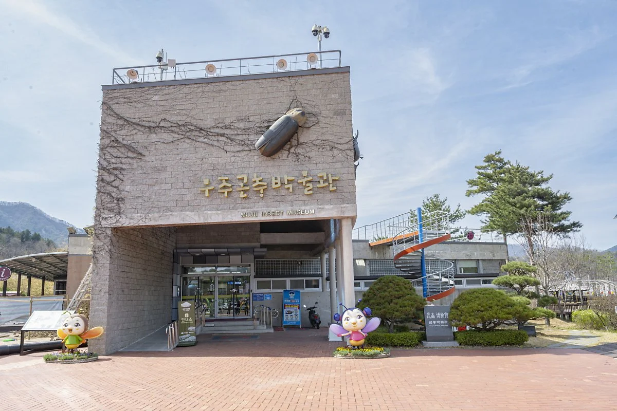 %EB%AC%B4%EC%A3%BC%EB%B0%98%EB%94%94%EB%9E%9C%EB%93%9C_%EA%B3%A4%EC%B6%A9%EB%B0%95%EB%AC%BC%EA%B4%80_%2817%29.jpg?type=w1200