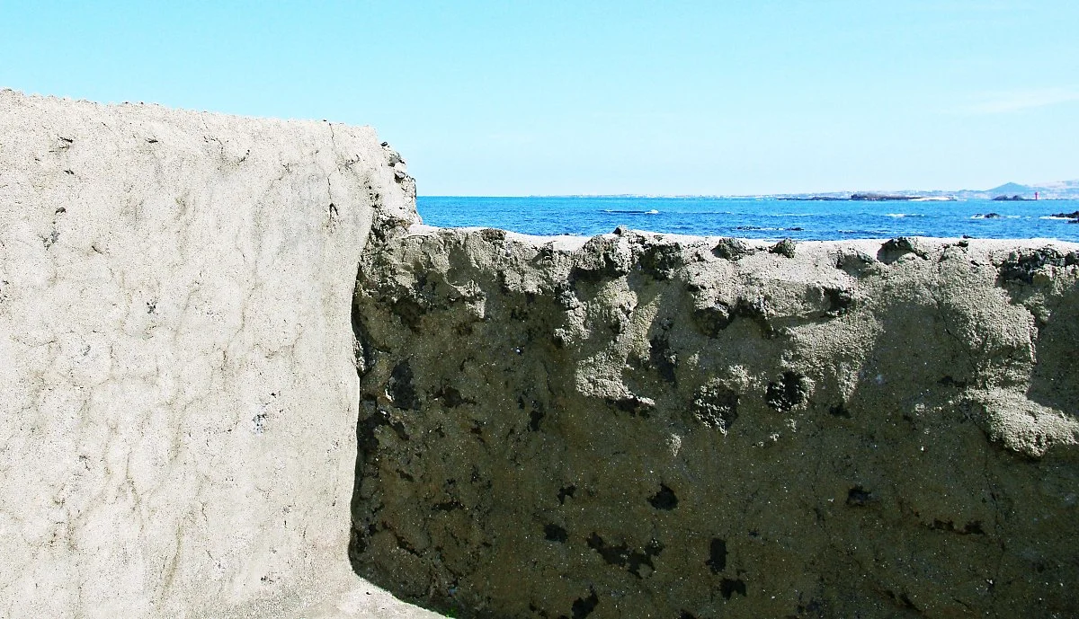 %EC%8B%A0%EB%8F%99_%EC%BD%94%EC%A7%80_%EB%B6%88%ED%84%B1.JPG?type=w1200