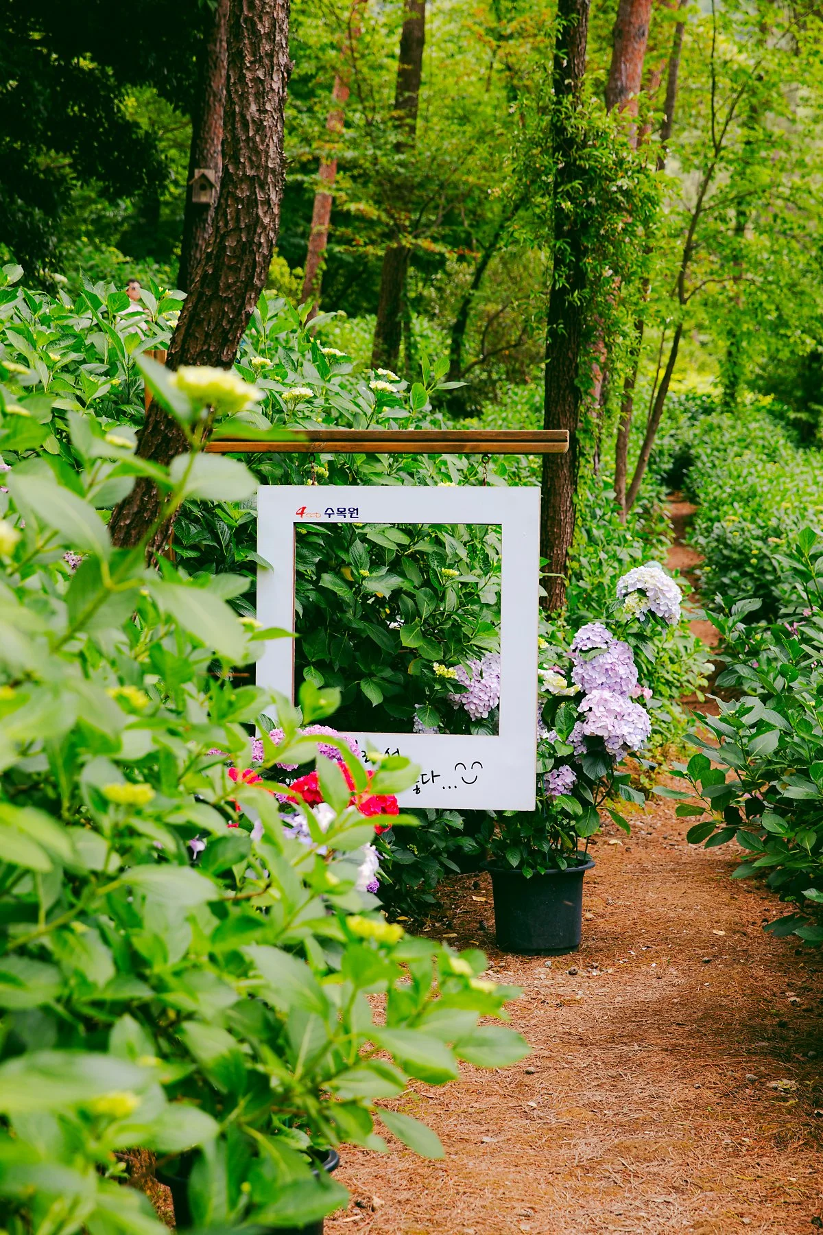 4est%EC%88%98%EB%AA%A9%EC%9B%90%285%29.jpg?type=w1200