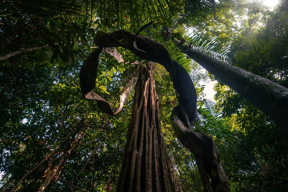 DSC02124-Edit.jpg?type=w1200