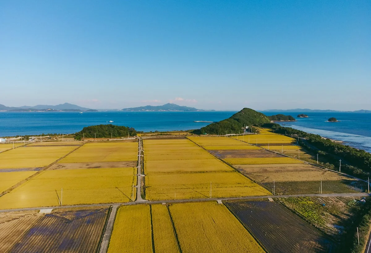 %EC%95%9E%EC%9E%A5%EC%88%A0%ED%95%B4%EB%B3%80%EA%B3%BC_%EB%93%A4%EB%85%98.jpg?type=w1200