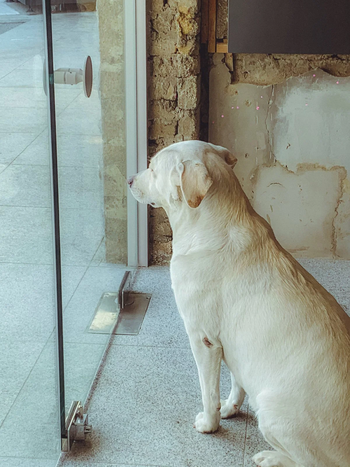 d_%EC%BD%98%ED%95%98%EC%8A%A4_%ED%95%9C%EB%82%A8%EC%A0%90_1.jpg?type=w1200