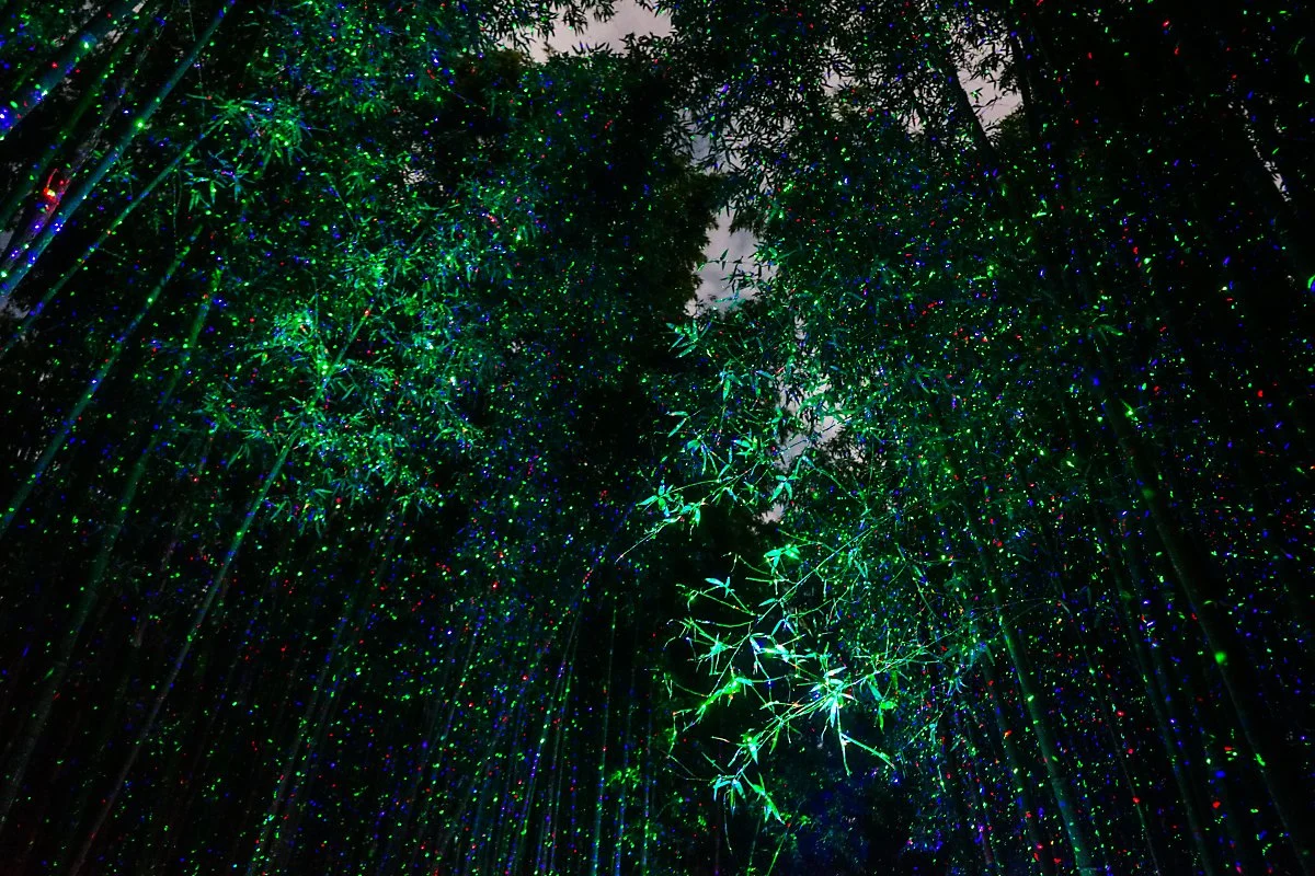 3._%EC%8B%AD%EB%A6%AC%EB%8C%80%EC%88%B2_%282%29.JPG?type=w1200