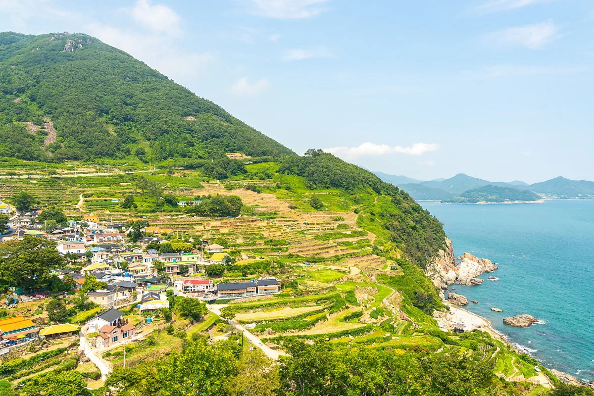 %EB%8B%A4%EB%9E%AD%EC%9D%B4%EB%A7%88%EC%9D%84_001.jpg?type=w1200