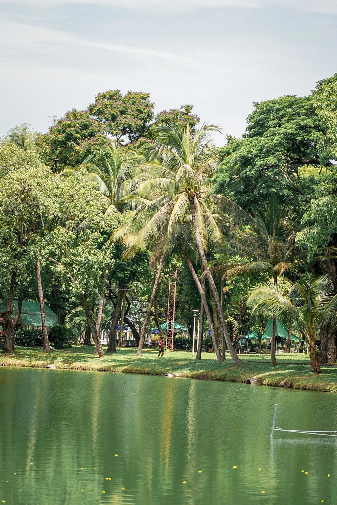 %EB%A3%B8%ED%94%BC%EB%8B%88%EA%B3%B5%EC%9B%9004.jpg?type=w1200