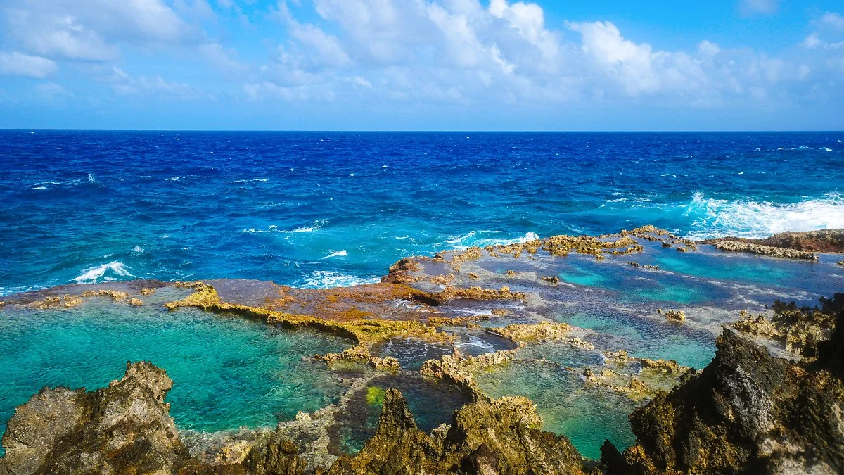 %EB%B8%94%EB%A1%9C%EC%9A%B0_%ED%99%80_%282%29.jpg?type=w1200