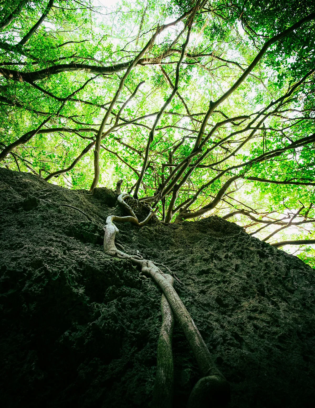 %ED%81%AC%EA%B8%B0%EB%B3%80%ED%99%98KHS_5980.jpg?type=w1200