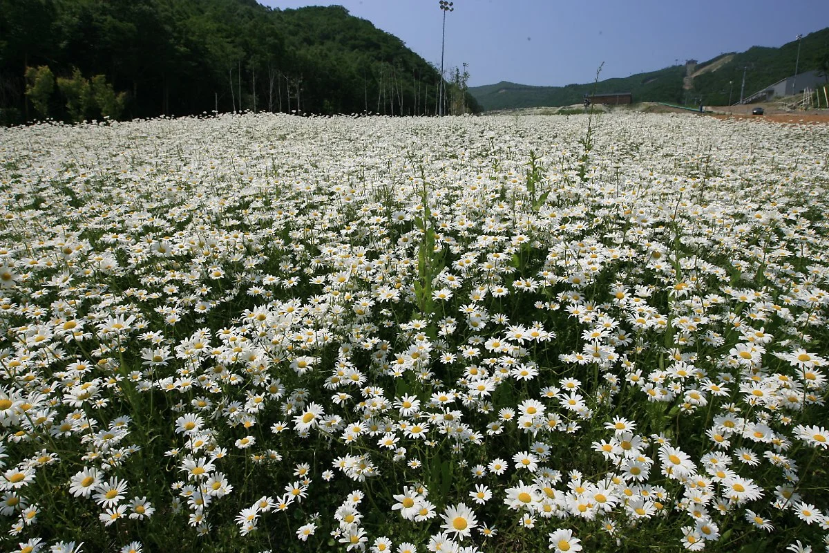 KakaoTalk_20230709_230808592_15.jpg?type=w1200