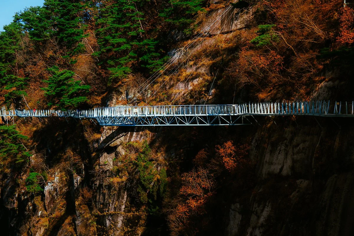 %EC%9E%94%EB%8F%84%EA%B8%B8_-3.jpg?type=w1200