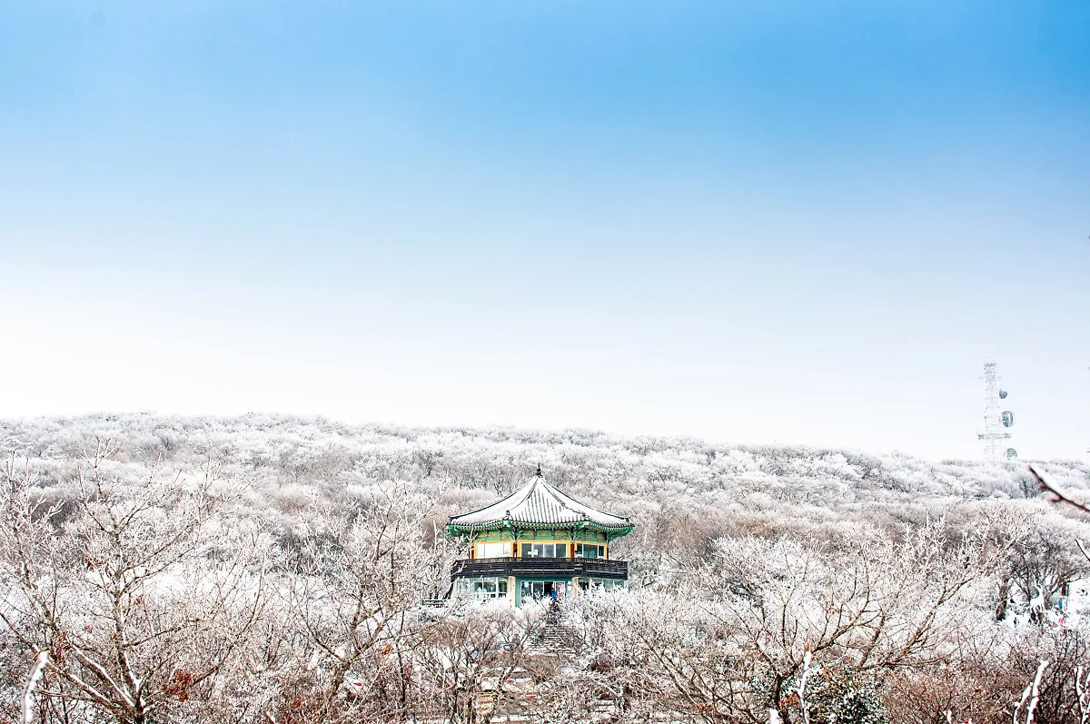 1100%EA%B3%A0%EC%A7%80%ED%9C%B4%EA%B2%8C%EC%86%8C_001.jpg?type=w1200