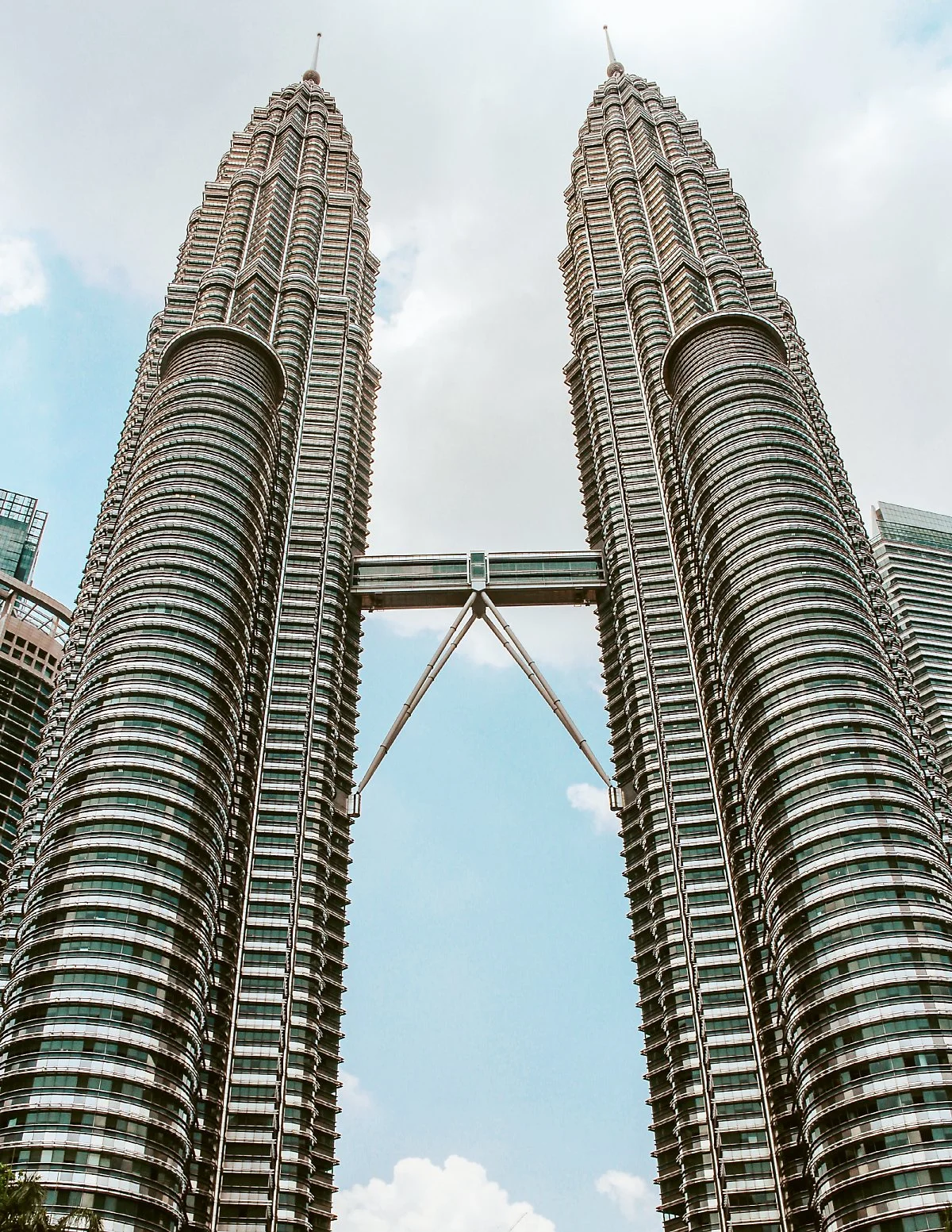 %ED%8E%98%ED%8A%B8%EB%A1%9C%EB%82%98%EC%8A%A4%ED%83%80%EC%9B%8C_%282%29-2.jpg?type=w1200