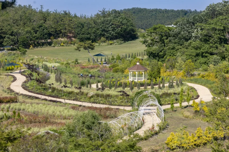 IMG_6608.jpg?type=w966