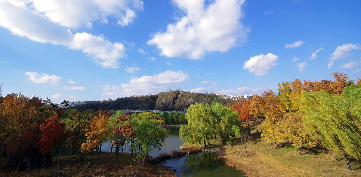 %EC%84%9C%EC%9A%B8%EC%88%B2%EC%9D%B4_%EC%A2%8B%EB%8B%A4._%EC%A0%80_%EB%A9%80%EB%A6%AC_%EB%B3%B4%EC%9D%B4%EB%8A%94_%EB%82%AE%EC%9D%80_%EC%82%B0%EC%9D%B4_%EC%84%9C%EC%9A%B8_%EC%95%BC%EA%B2%BD_%ED%8F%AC%EC%9D%B8%ED%8A%B8_%EC%9D%91%EB%B4%89%EC%82%B0.JPG?type=w1200