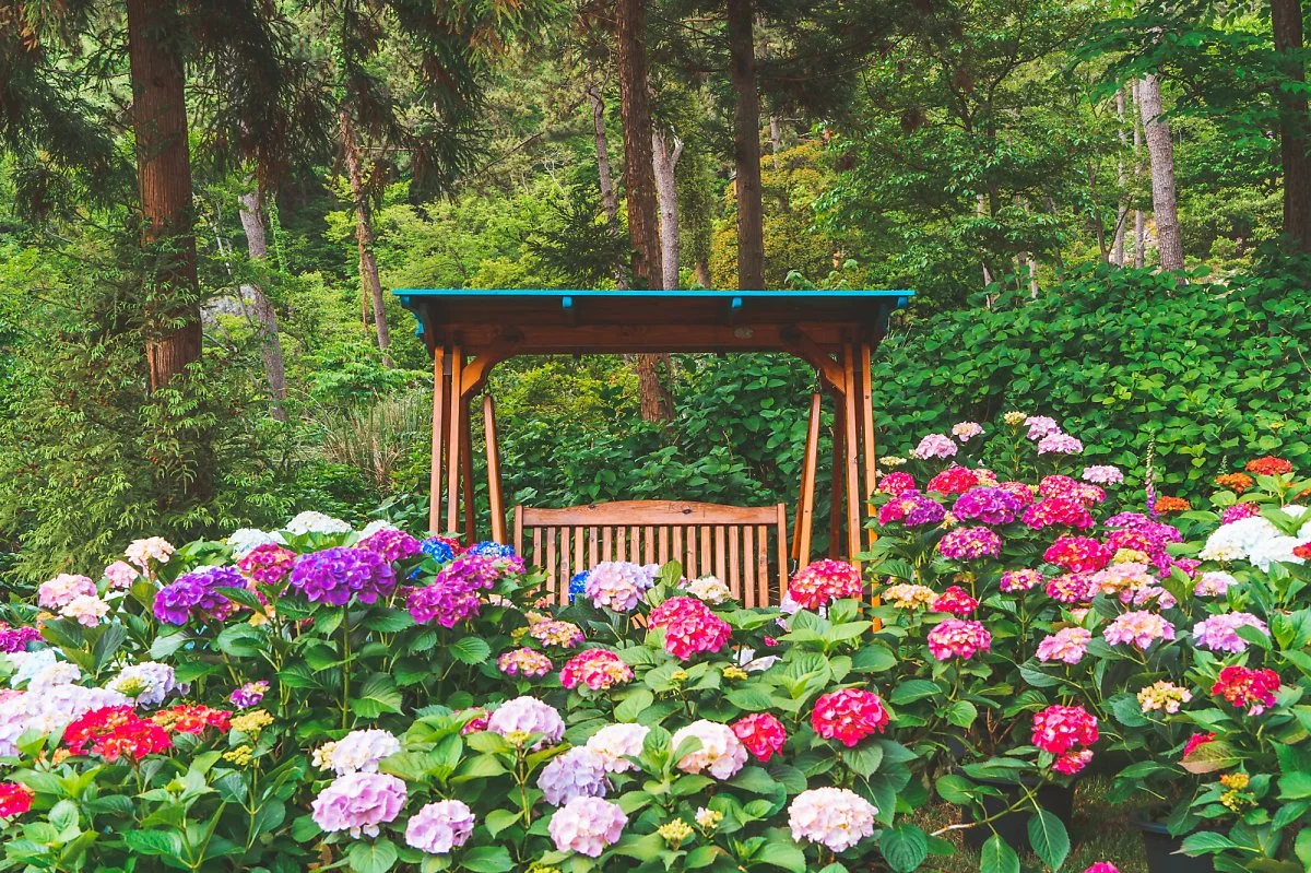 %ED%8F%AC%EB%A0%88%EC%8A%A4%ED%8A%B8_%EC%88%98%EB%AA%A9%EC%9B%90_%2819%29.jpg?type=w1200