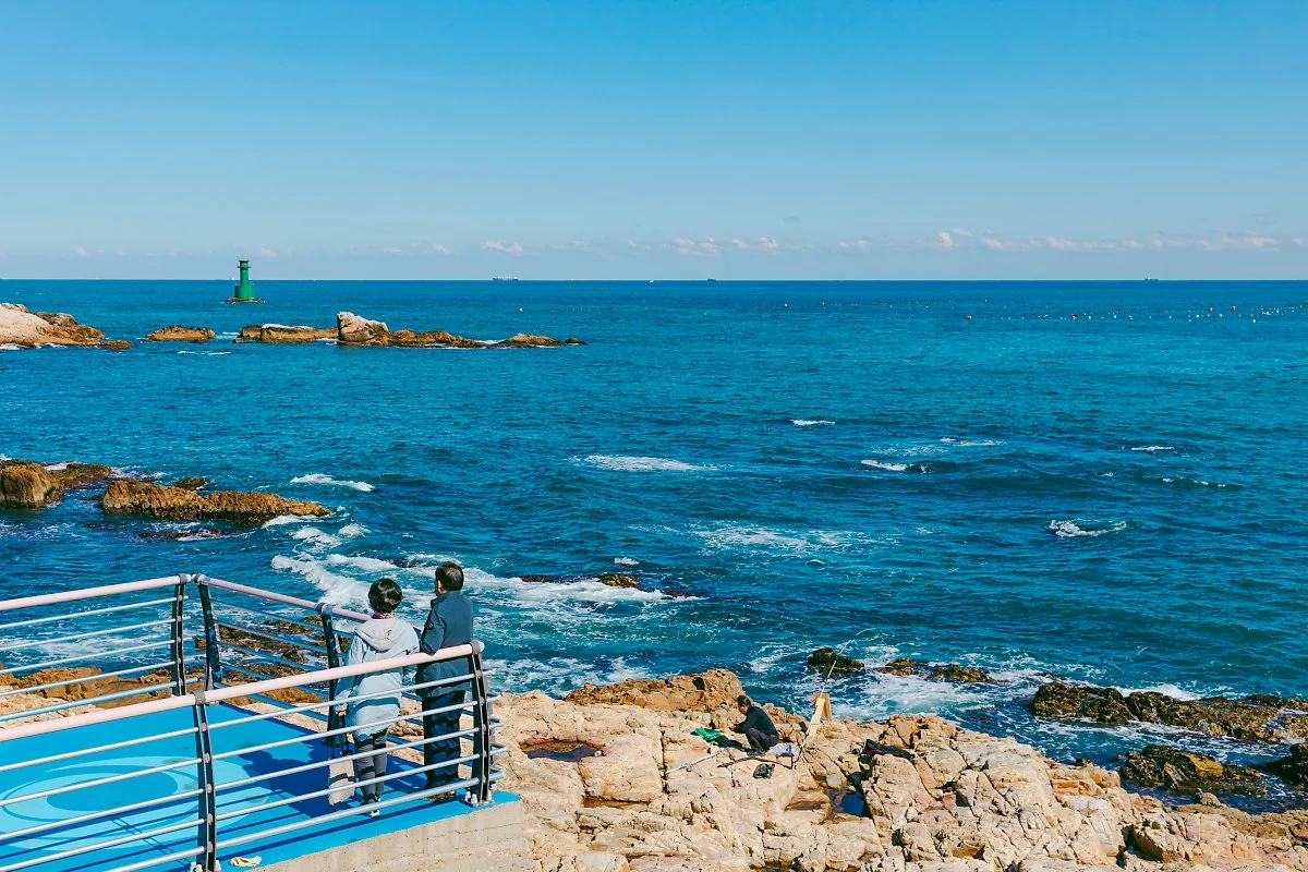 d_%EB%B6%80%EC%82%B0_%EA%B8%B0%EC%9E%A5%EA%B5%B0_%EC%A3%BD%EC%84%B1%EB%A6%AC%EC%9D%98_%EB%B0%94%EB%8B%B7%EA%B8%B8.jpg?type=w1200